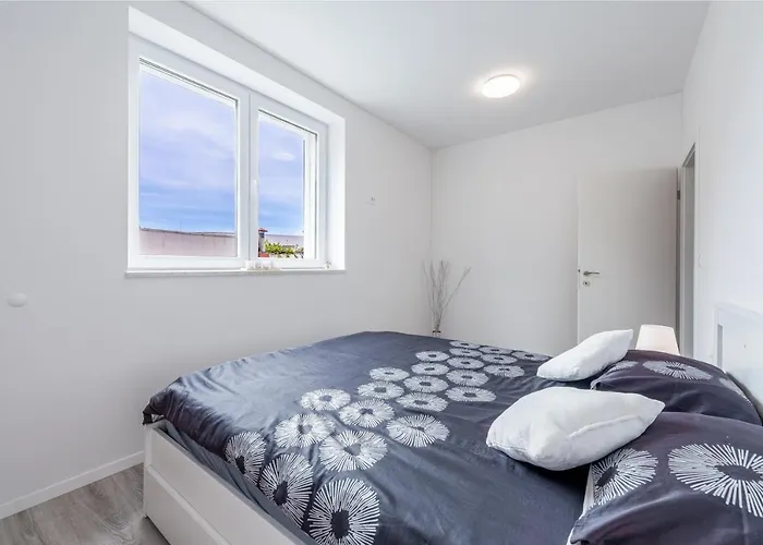 Pinegrove * Dubrovnik